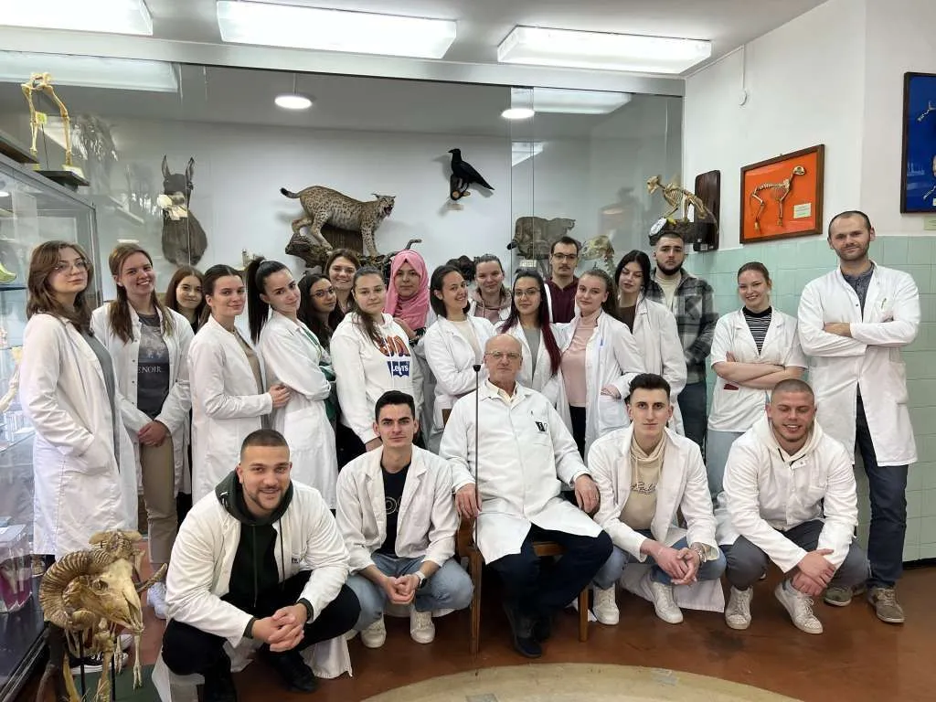 Brojni eksponati