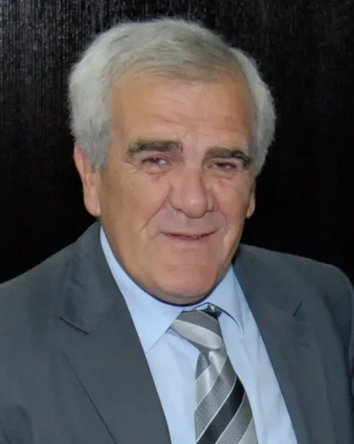 Timur Numić