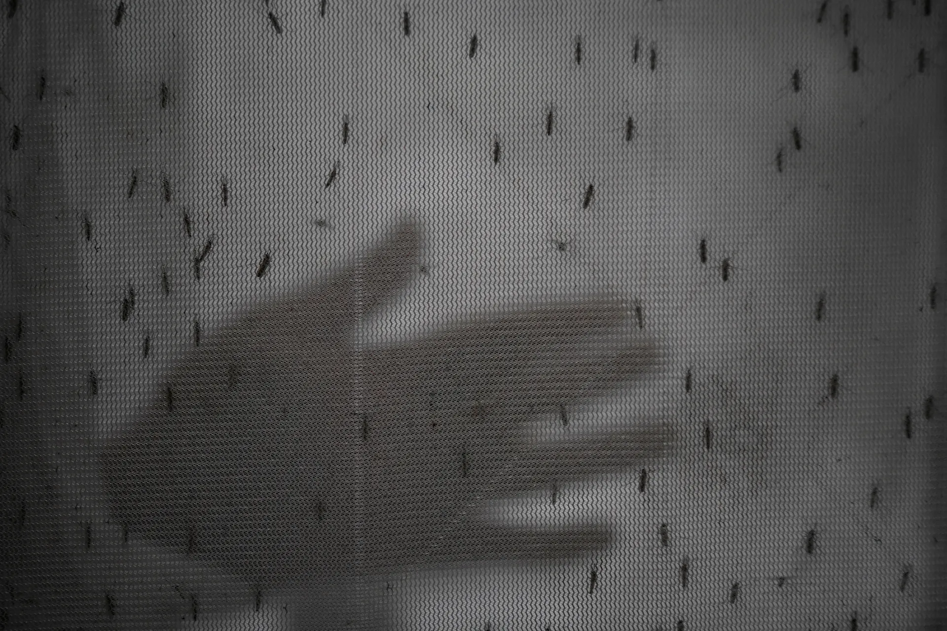 Novi slučajevi virusa Zapadnog Nila potvrđeni u pet evropskih zemalja