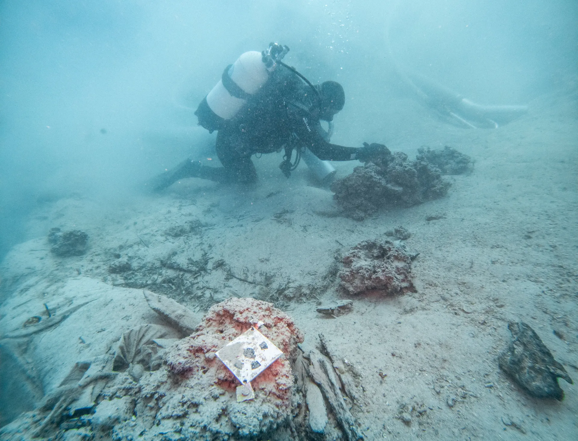 An underwater archaeologist works at a Byzantine shipwreck near Polace on the island of Mljet, Croatia, July 20, 2026. REUTERS/Antonio Bronic