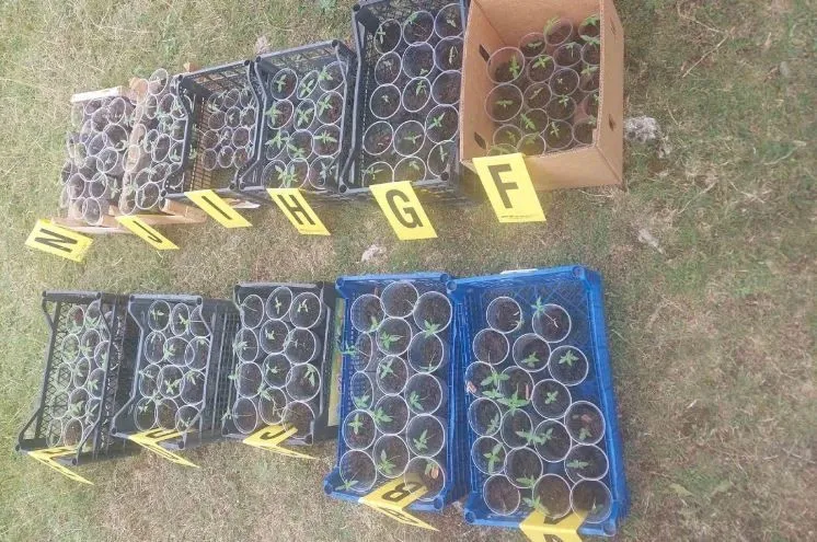 Digao na noge policiju, prijetnje dovele žandarmeriju do zapljene droge