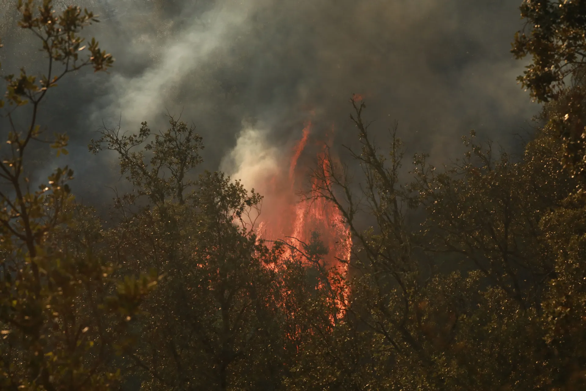 COTIGNAC, FRANCUSKA - 24. JULI 2026: Vatrogasci su nastavili napore da obuzdaju šumski požar koji je izbio u blizini grada Cotignaca na jugu Francuske u četvrtak, 23. jula. ( Mohamad Salaheldin Abdelghani Alsayed - Anadolu Agency )