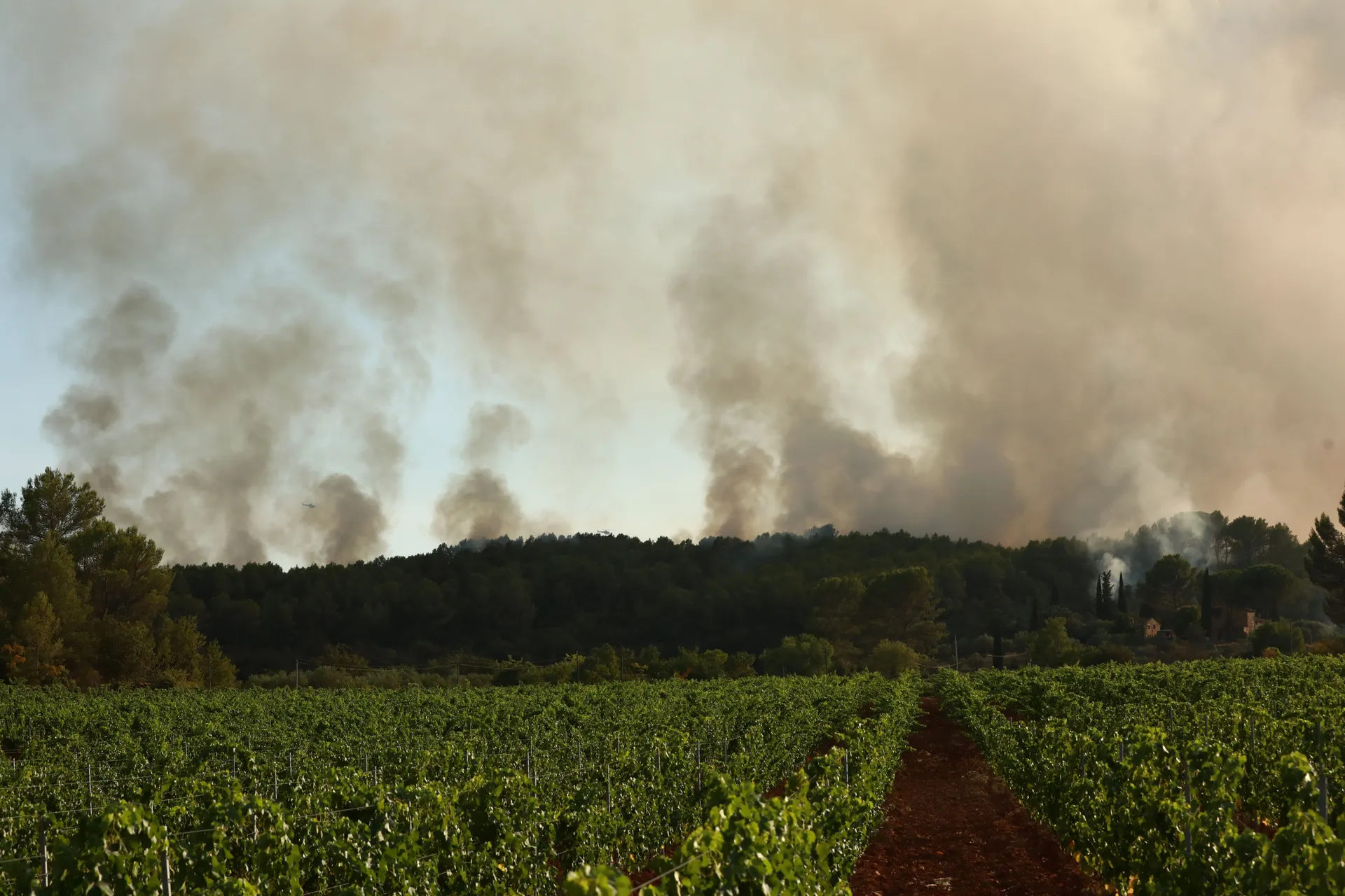 COTIGNAC, FRANCUSKA - 24. JULI 2026: Vatrogasci su nastavili napore da obuzdaju šumski požar koji je izbio u blizini grada Cotignaca na jugu Francuske u četvrtak, 23. jula. ( Mohamad Salaheldin Abdelghani Alsayed - Anadolu Agency )