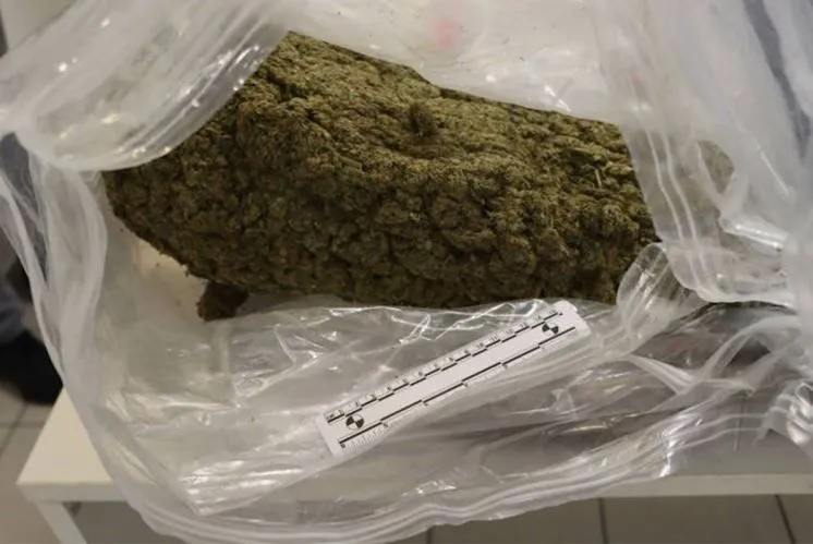 Droga u koferu
