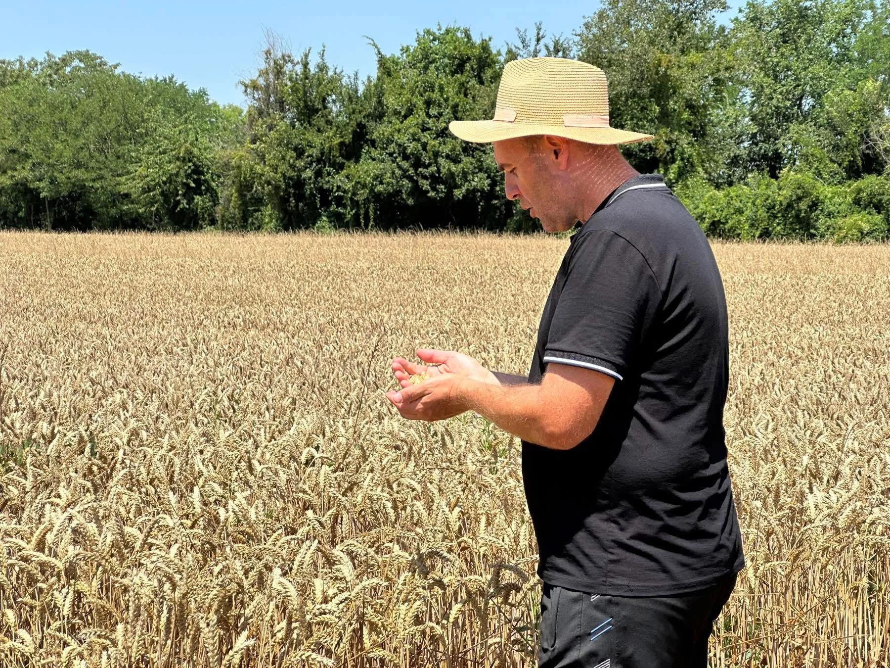 Žetva završena, silosi puni, ratari ogorčeni: Za mnoge je ovo posljednja