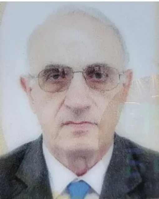 Emir Hadžizukić