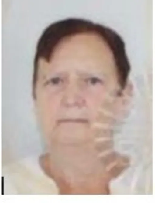 Šemsija Ševka (Huseina) Hadžić