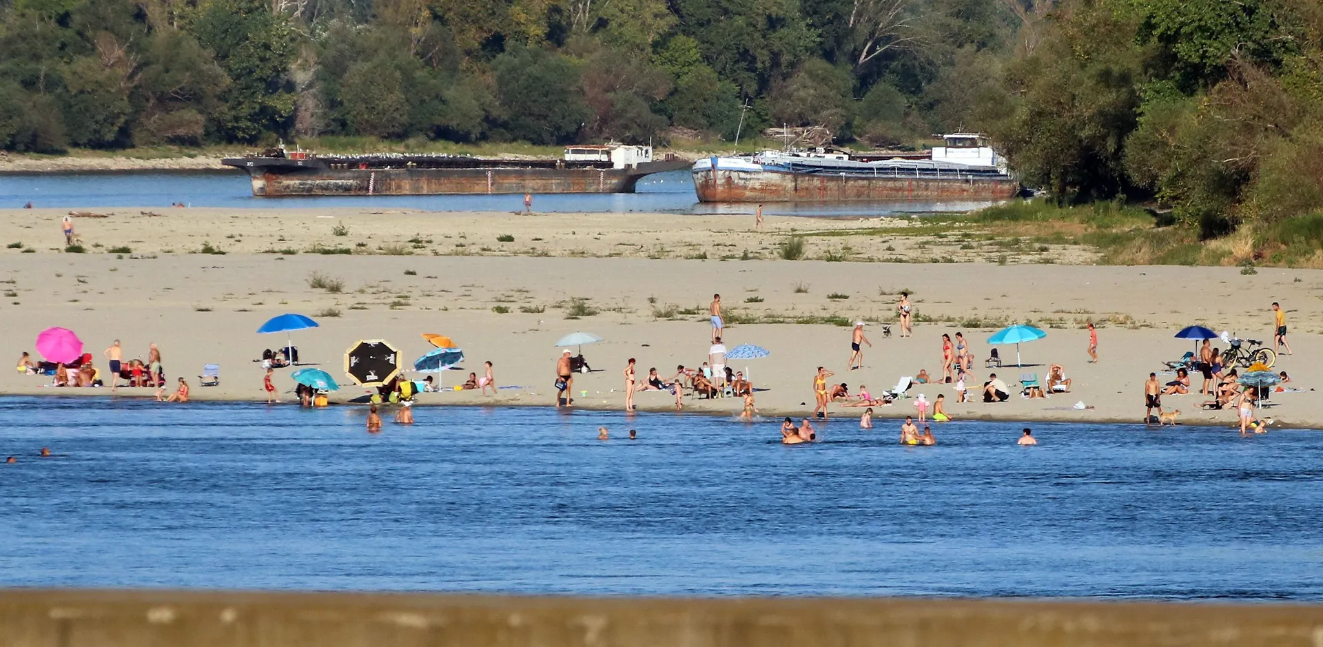 Dunav se povukao, kupači hodaju koritom rijeke, proglašene vanredne situacije u Srbiji - slika 5