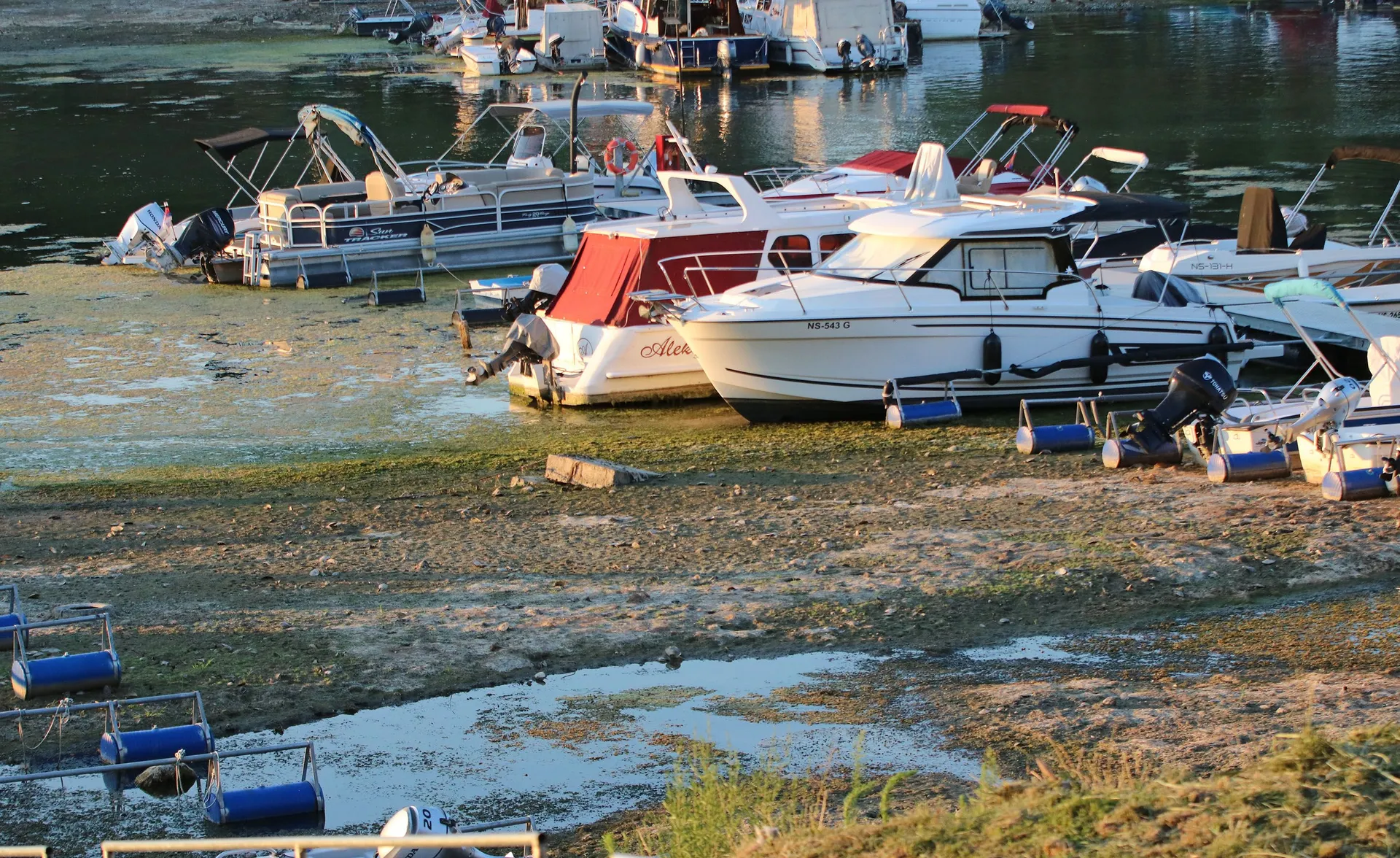 Dunav se povukao, kupači hodaju koritom rijeke, proglašene vanredne situacije u Srbiji - slika 3