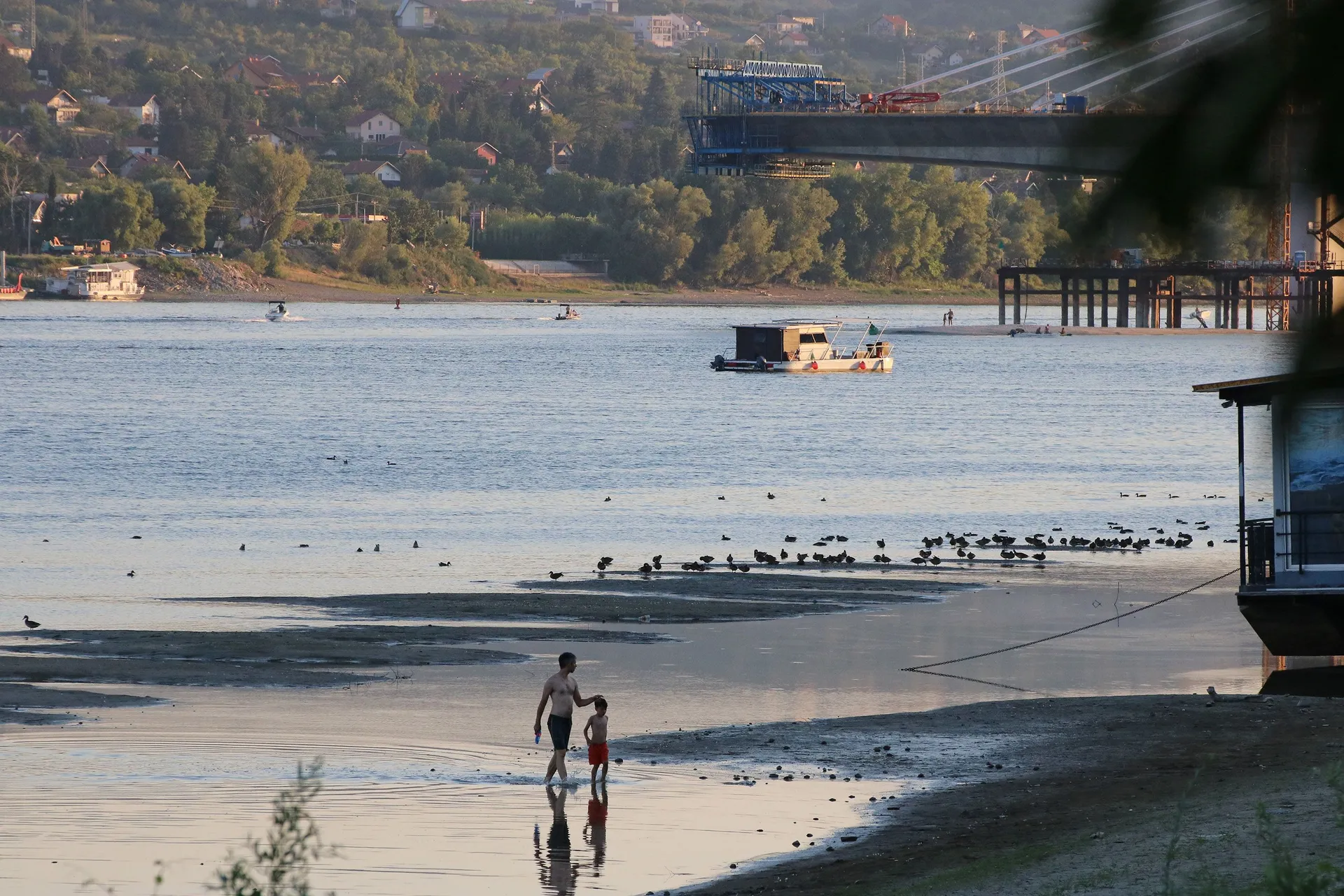 Dunav se povukao, kupači hodaju koritom rijeke, proglašene vanredne situacije u Srbiji - slika 4