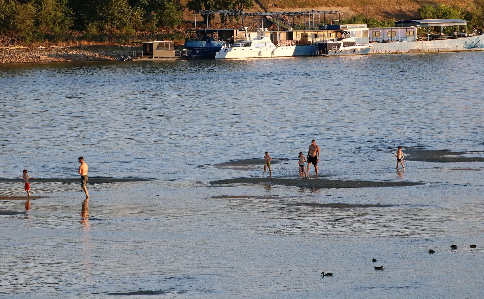 Dunav se povukao, kupači hodaju koritom rijeke, proglašene vanredne situacije u Srbiji