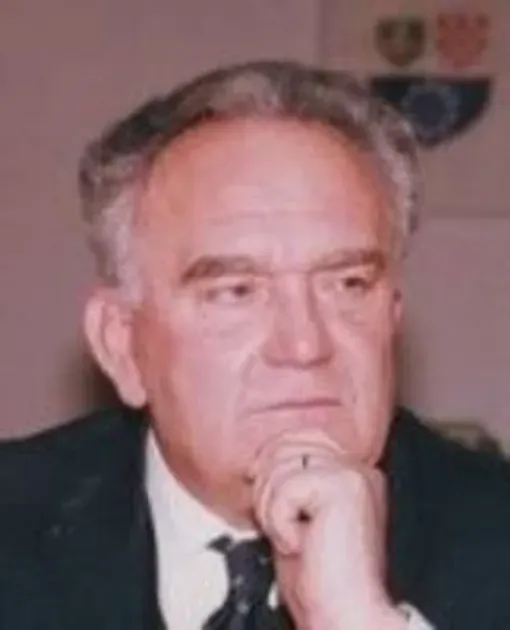 prof. dr. Alija Behmen
