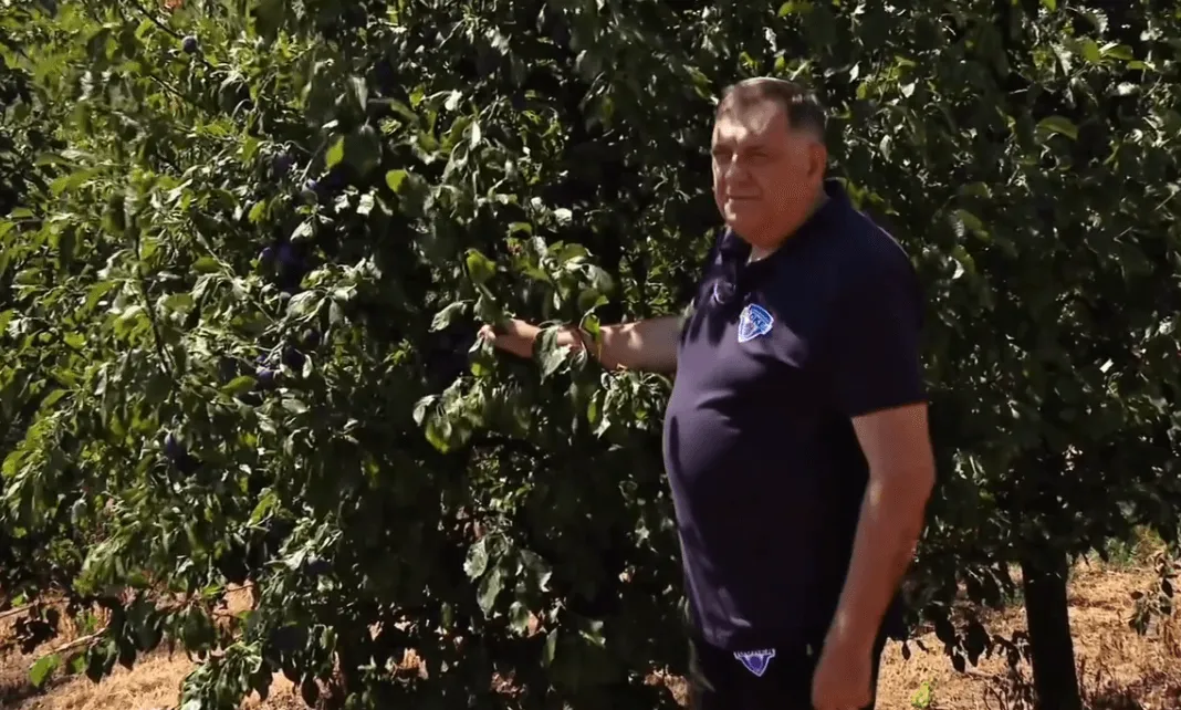 Dodik se pohvalio šljivom i poručio: "Simbol srpstva i tradicije"