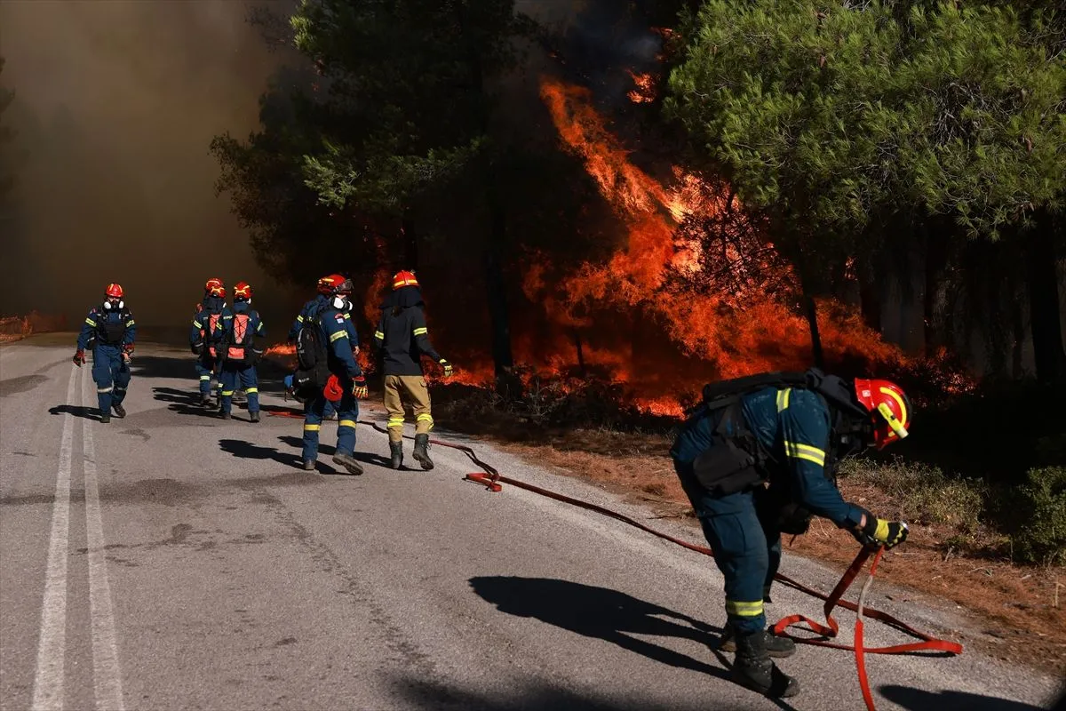 Vatrogasci se bore s požarom u Viotiji zračnim i kopnenim operacijama