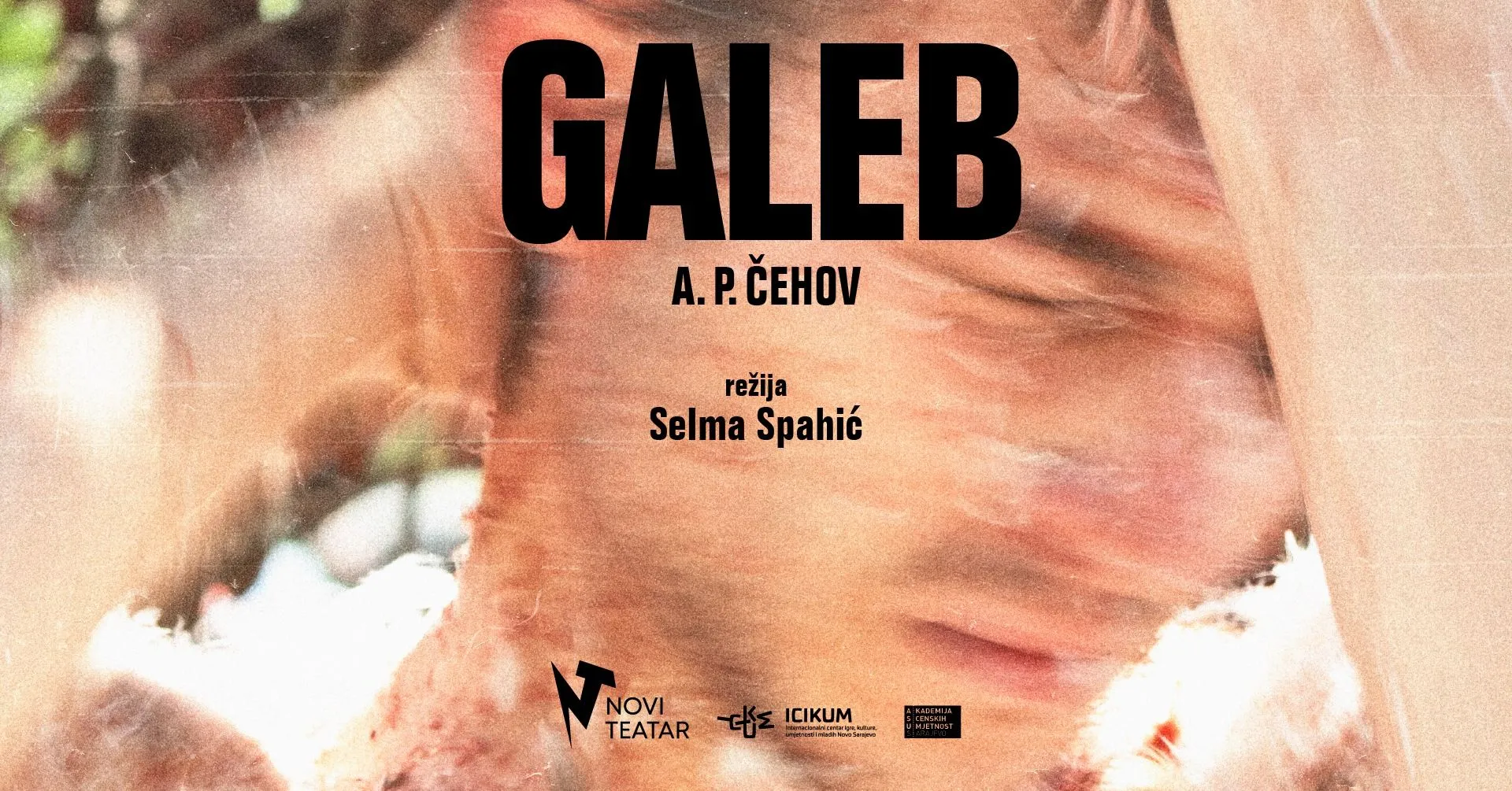 Novi teatar sezonu otvara predstavom "Galeb", počela prodaja ulaznica