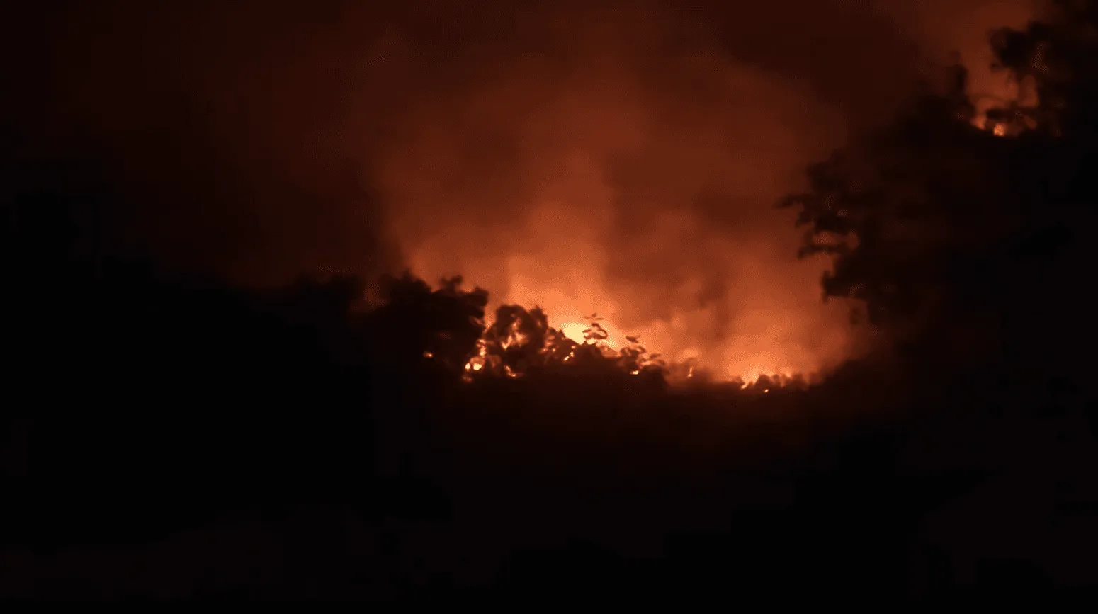 Požar se približava kućama kod Trebinja, vjetar otežava gašenje vatre