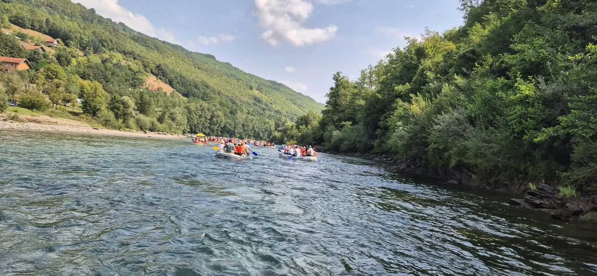 Drinska regata