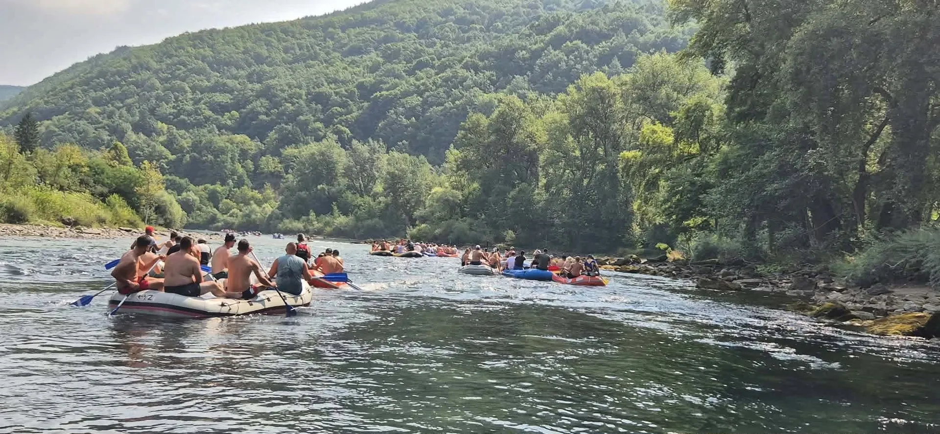 Drinska regata