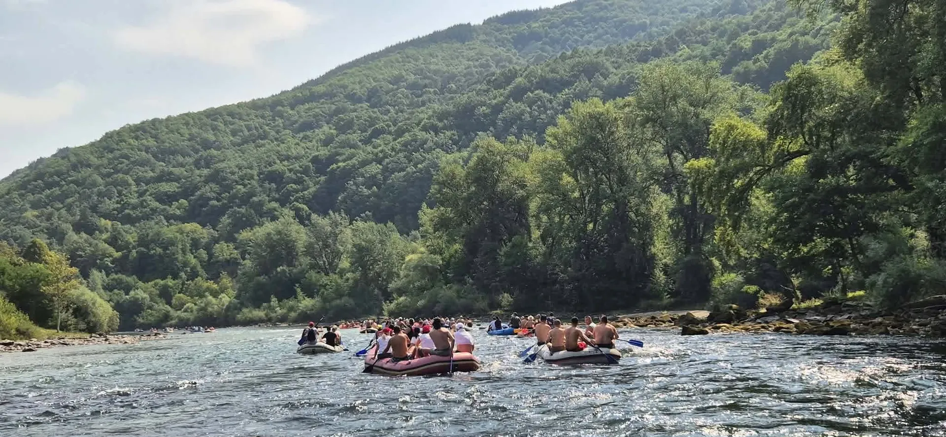 Drinska regata