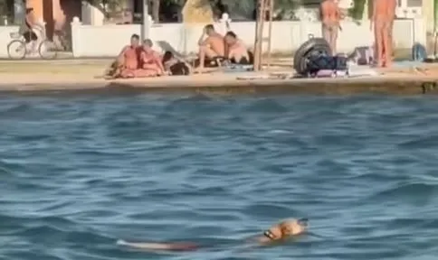 Htio prijaviti "kera" jer se kupao na punoj plaži, ali ovakav odgovor nije očekivao