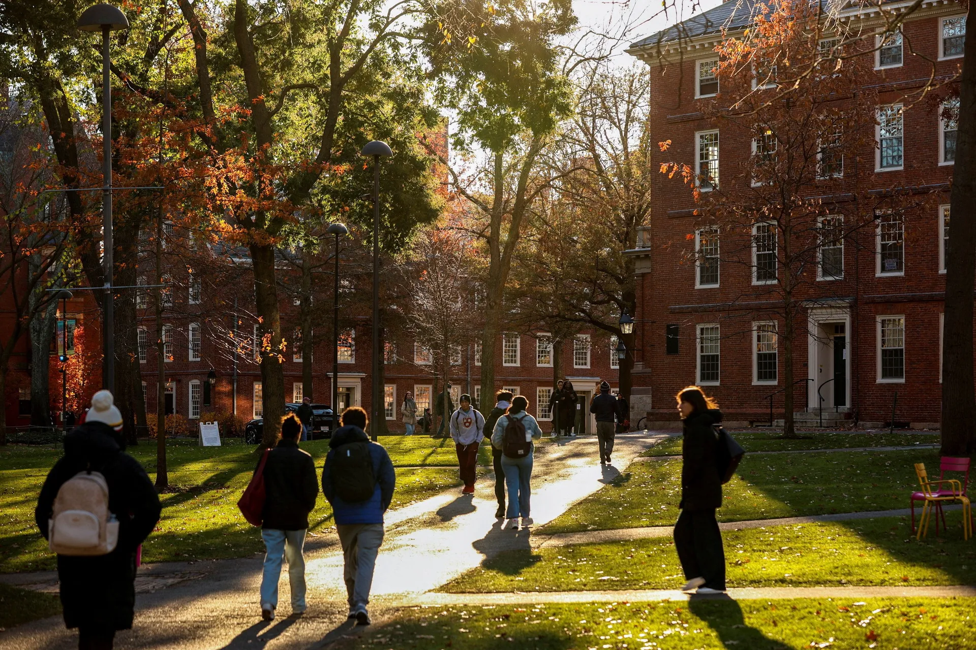 Neviđen skandal potresa Harvard: Voditelj mrtvačnice prodavao dijelove doniranih tijela 