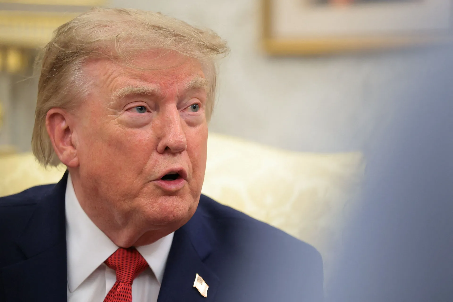 Trump zbog "zaštite od požara" želi ukiniti zabranu sječe u netaknutim šumama SAD-a