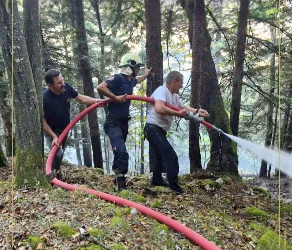 Požar na Plješevici pod kontrolom, očekuje se potpuno gašenje