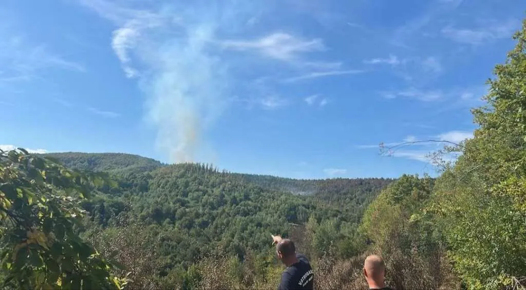 Ponovo se aktivirao požar kod Sanskog Mosta, vatrogasne ekipe na terenu