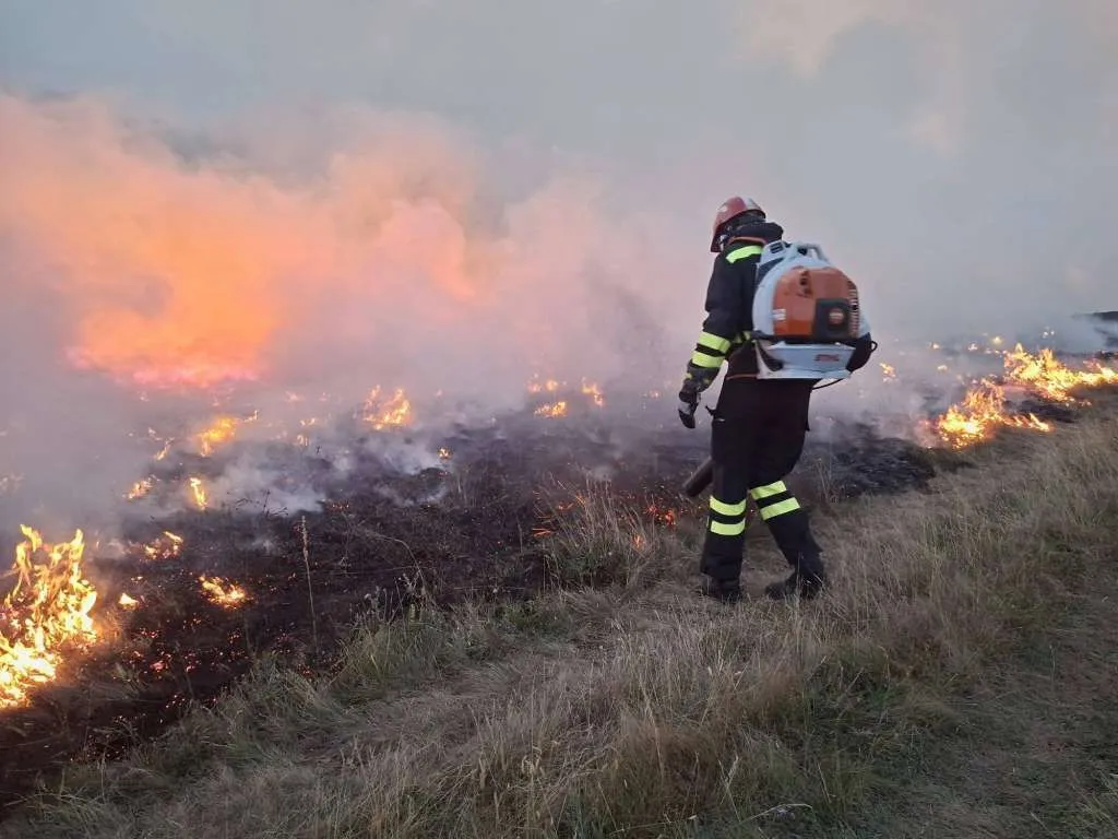Šumski požar u BiH odnio ljudski život: Muškarac stradao tokom gašenja u Tešnju