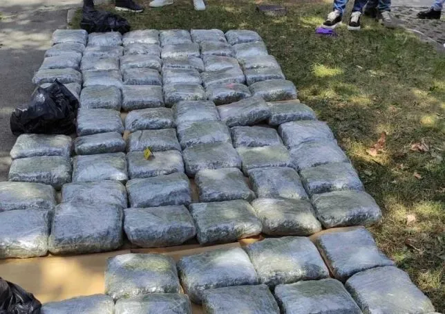 Općinski sud Sarajevo odredio pritvor dileru koji je "pao" sa više od 70 kilograma droge