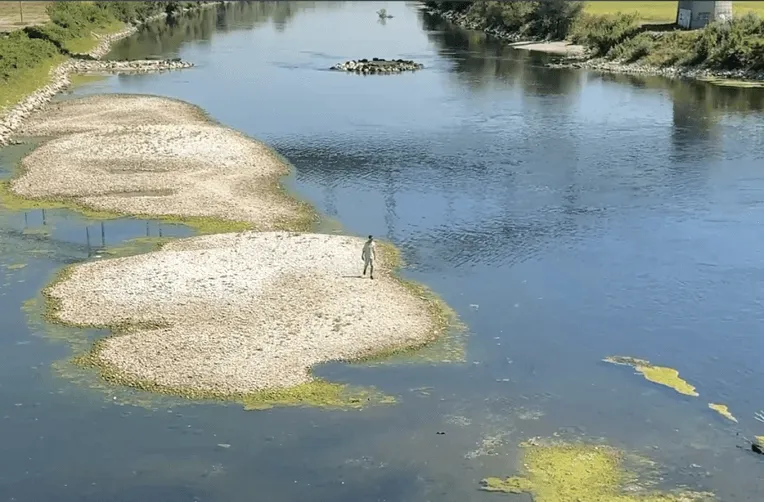 Pogledajte izgled Save u Zagrebu, gotovo neprepoznatljiva, mnogi ovo nikada nisu vidjeli
