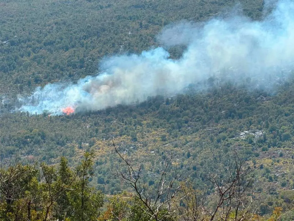 Ponovo aktiviran požar kod Gruda: Air tractor nedostupan zbog tehničkog kvara