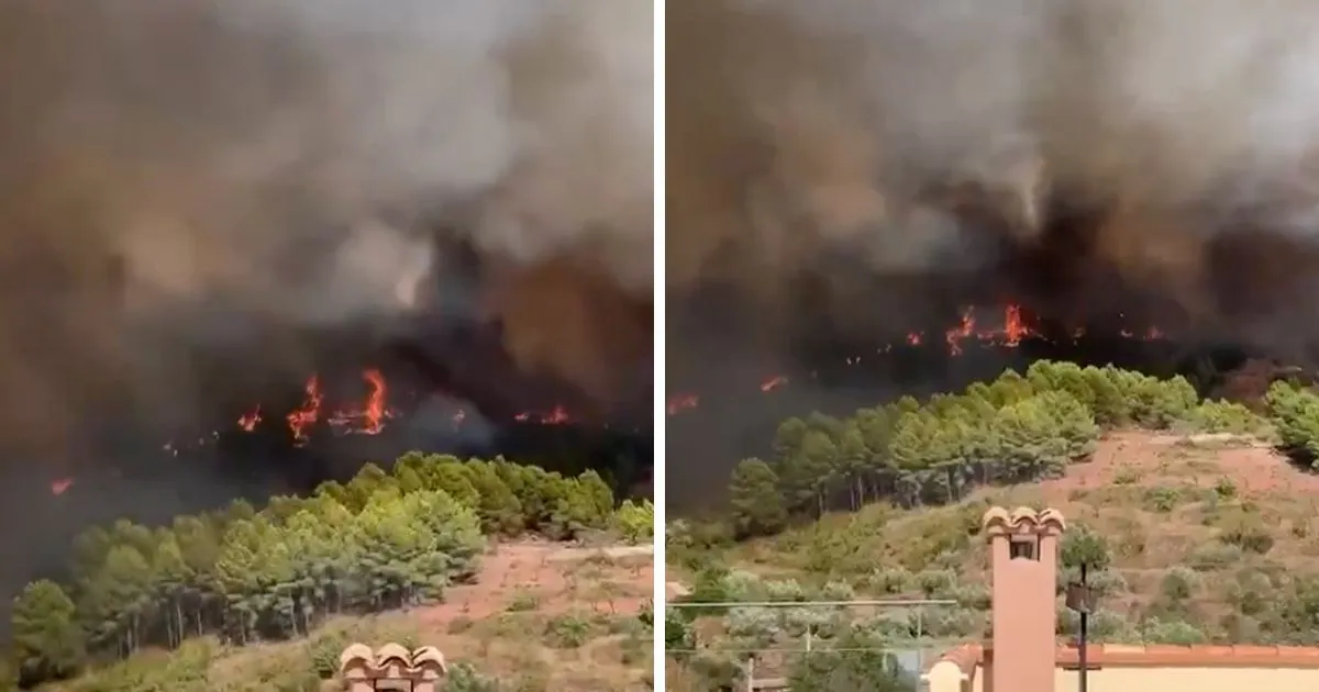 Grom zapalio šumu kod Valencije, cijelo selo dobilo nalog za evakuaciju 