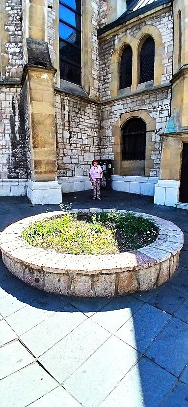 Platana kod Katedrale, koje već dugo nema - slika 4