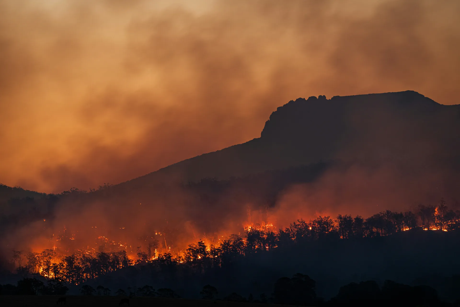  Naučnici upozoravaju: Svijet ulazi u doba klimatskih "ekstrema nad ekstremima"