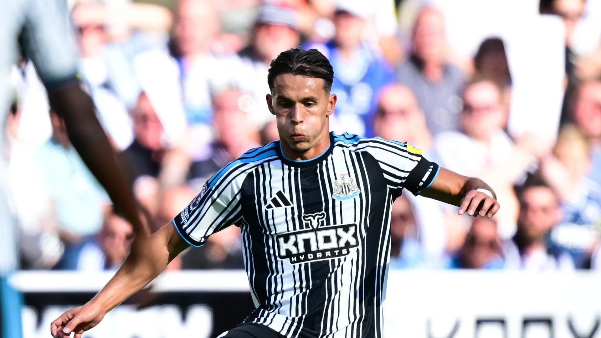 Bravo, majstore: Dedić upisao prvu asistenciju u dresu Newcastlea