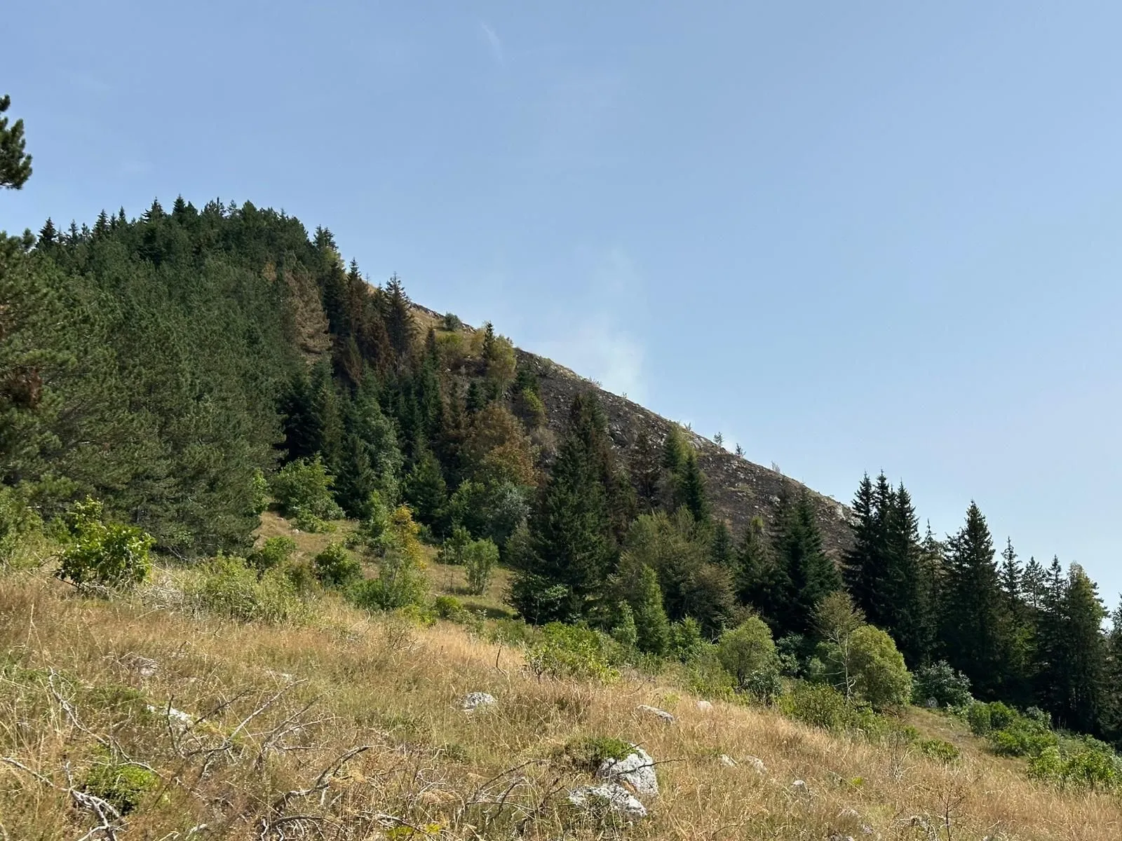 Požar ponovo na Trebeviću