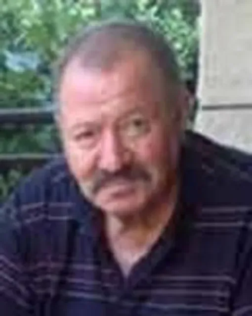 Osmana Dizdarevića