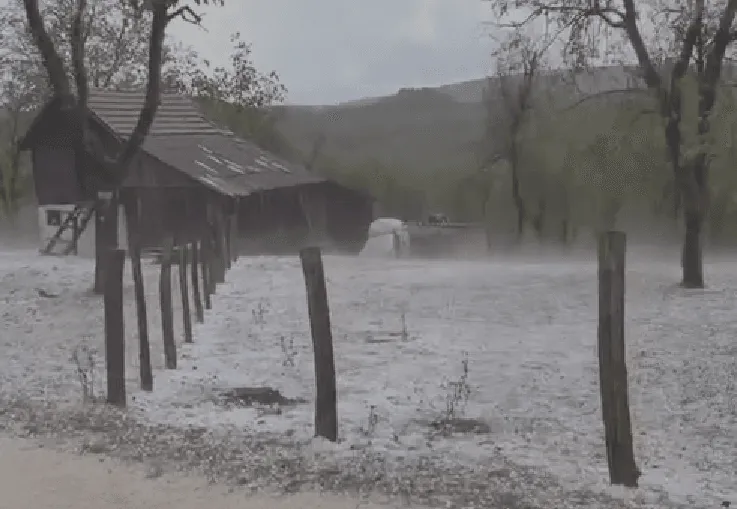 Pogledajte posljedice snažnog nevremena u BiH, mnogi poljoprivredni usjevi su uništeni