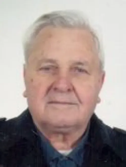 Mesud Ribić