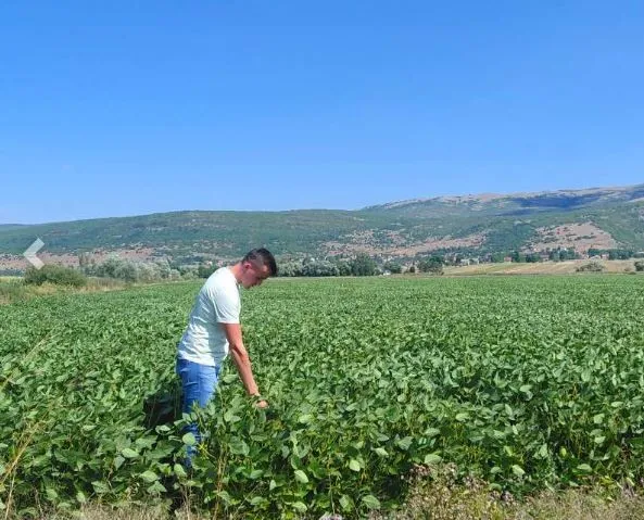 Ovaj mladić je nakon Njemačke izabrao poljoprivredu i ostanak u rodnom gradu