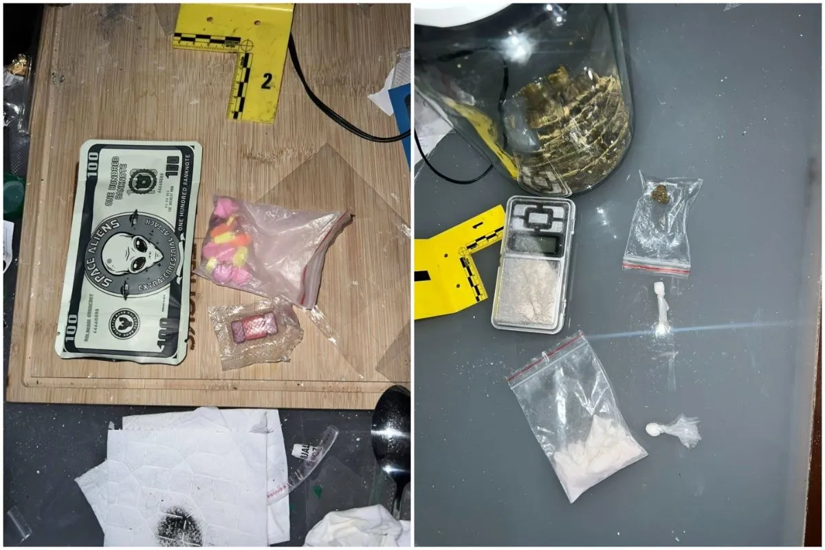"Pao" sarajevski diler, zaplijenjen skoro kilogram različitih droga