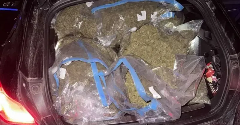 Optuženi dileri iz akcije Brazil, krijumčarili 45 kilograma marihuane