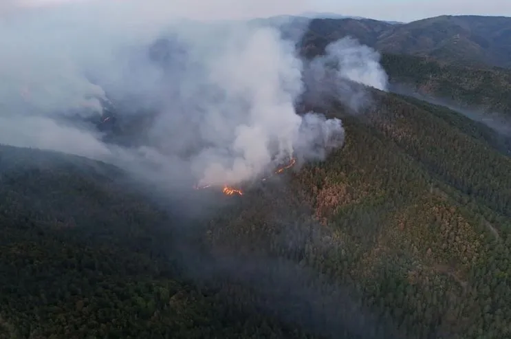 Požar kod bh. grada stavljen pod kontrolu, helikopter i dalje dejstvuje
