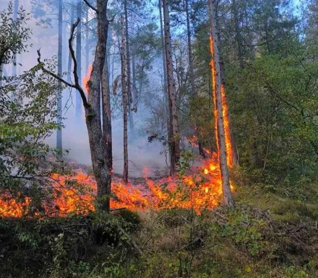 U bh. gradu proglašeno stanje elementarne nepogode, traže pomoć helikoptera