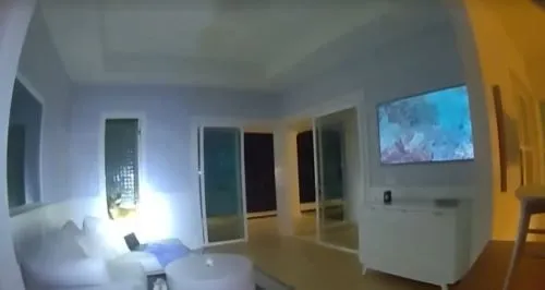 Policajci na Floridi nisu mogli vjerovati, neobičan gost u kupatilu