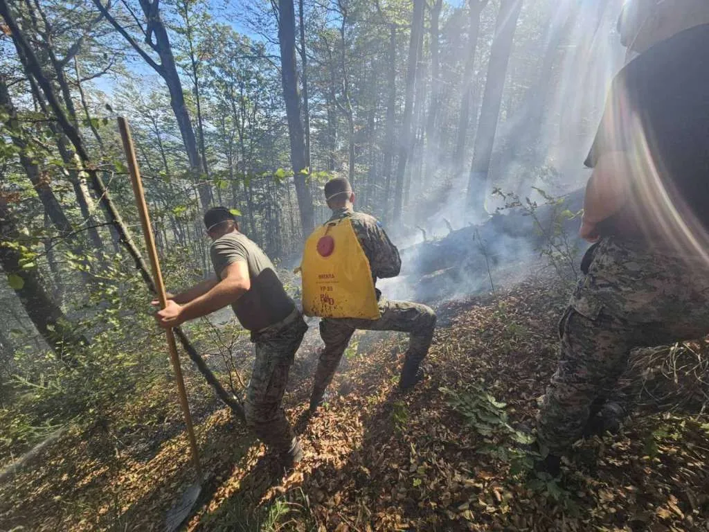 Požari širom BiH ne jenjavaju, pripadnici i helikopteri OSBiH pomažu na terenu