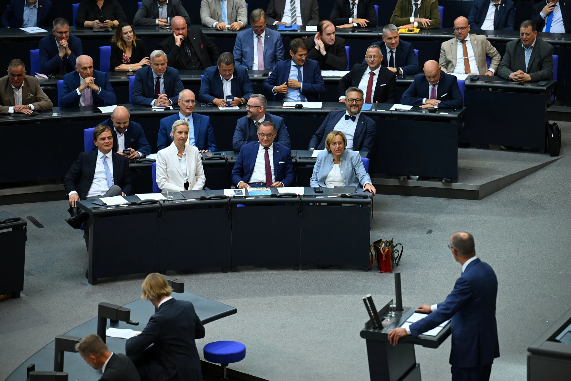 Burno u Bundestagu, Merz poručio da plan AfD-a znači etničko čišćenje