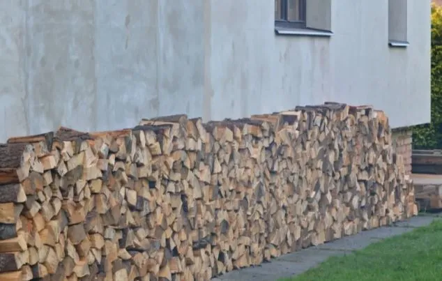 Drva držite naslonjena uz kuću? Evo koji vam se problem može pojaviti