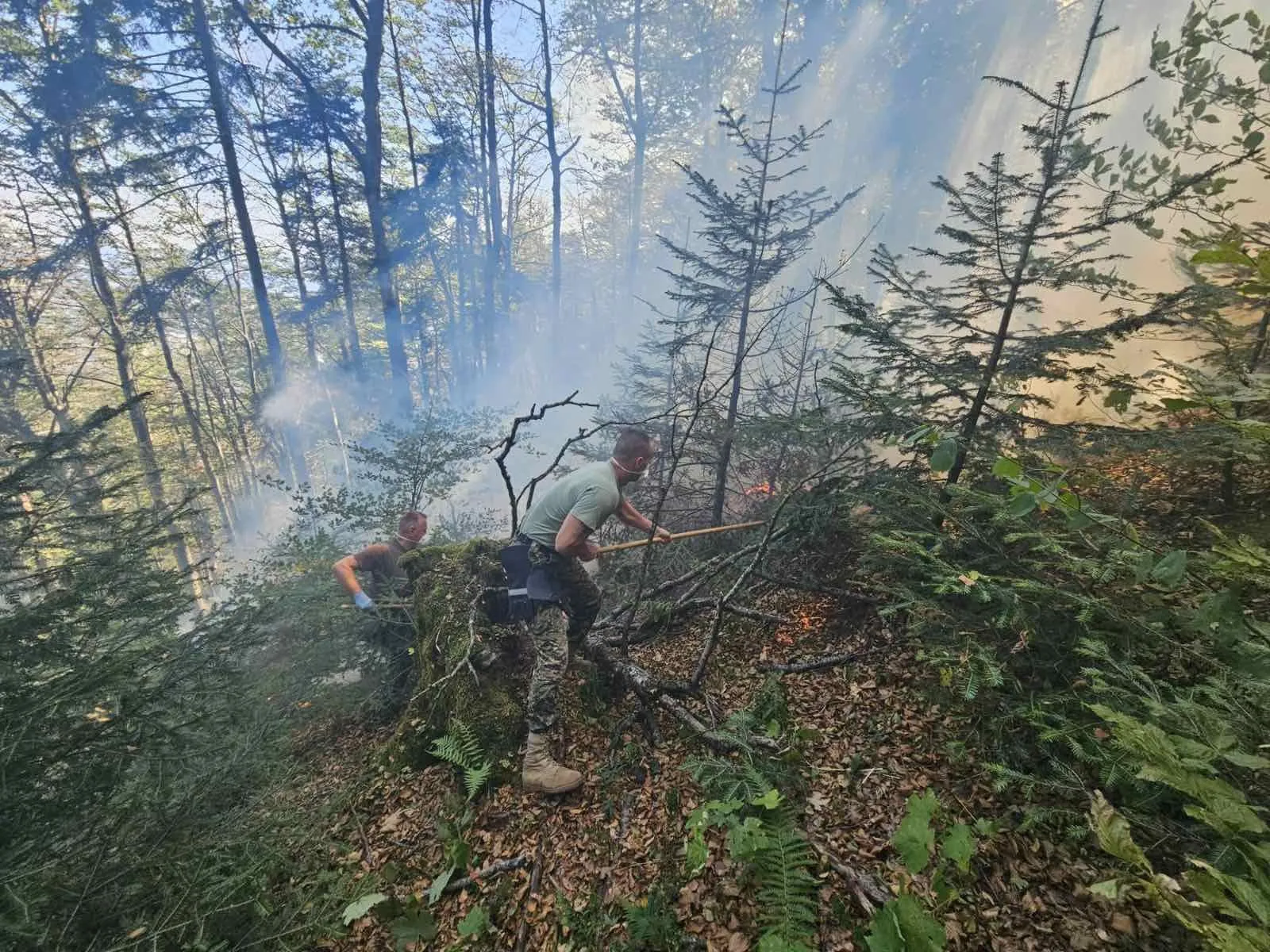 OSBiH, helikopter, požar, gašenje, Bihać, Oružane snage BiH